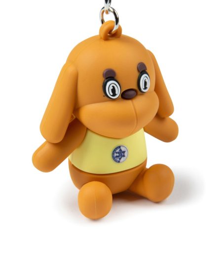 מחזיק מפתחות דוני