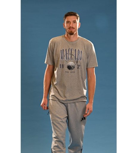 T-Shirt 'Iron Basket' Grey Adults