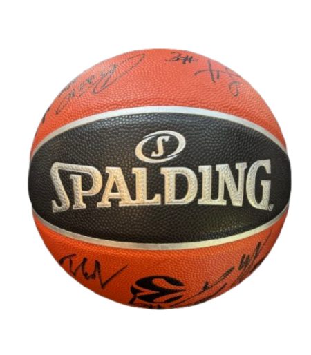 כדור SPALDING TF1000 חתום על ידי שחקני מכבי תל אביב