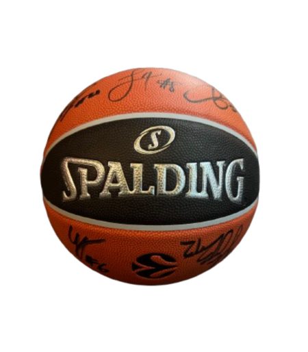 כדור SPALDING TF500 חתום על ידי שחקני מכבי תל אביב
